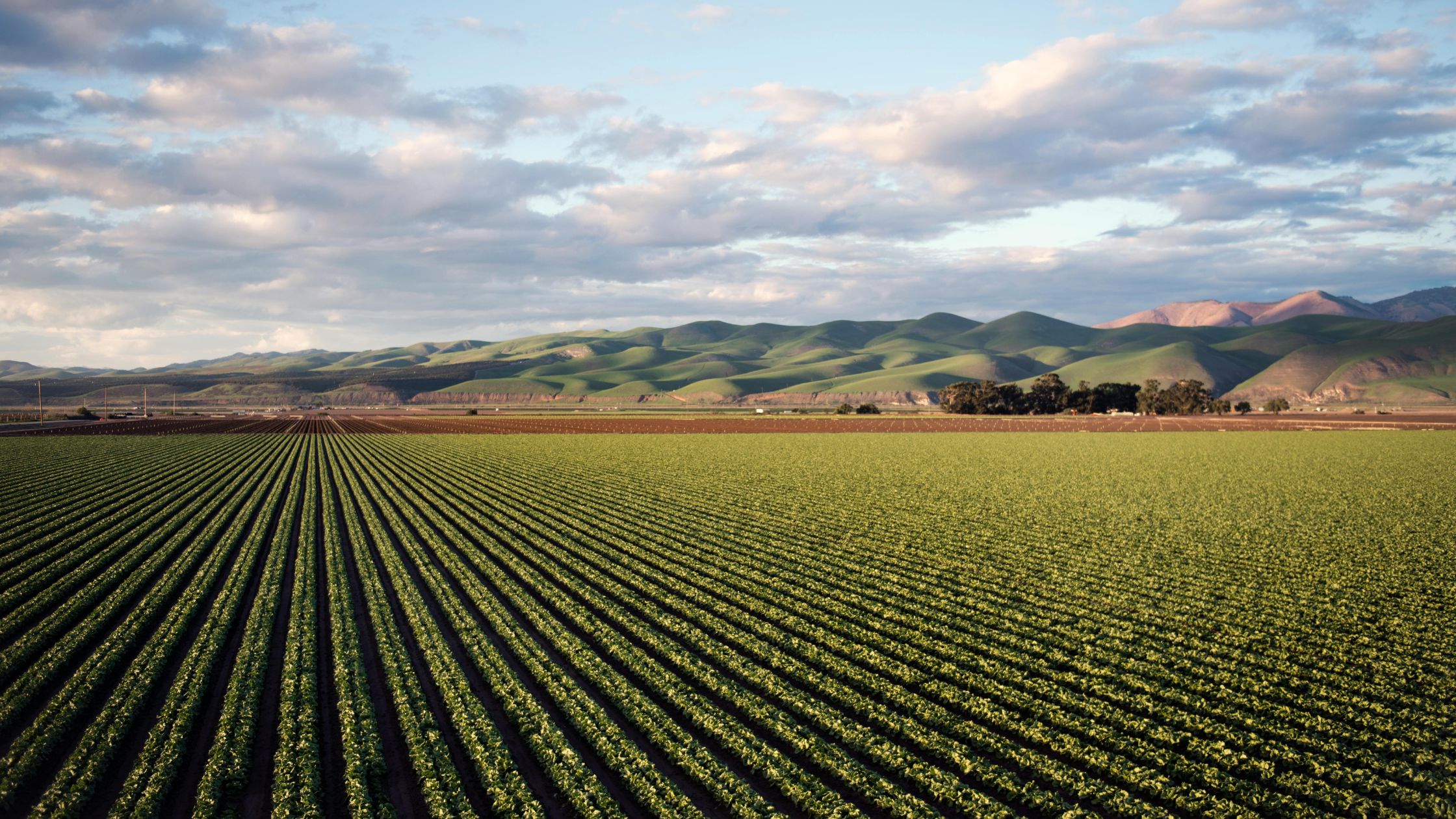 Farming 2.0: How Tech is Growing the Future of Agriculture